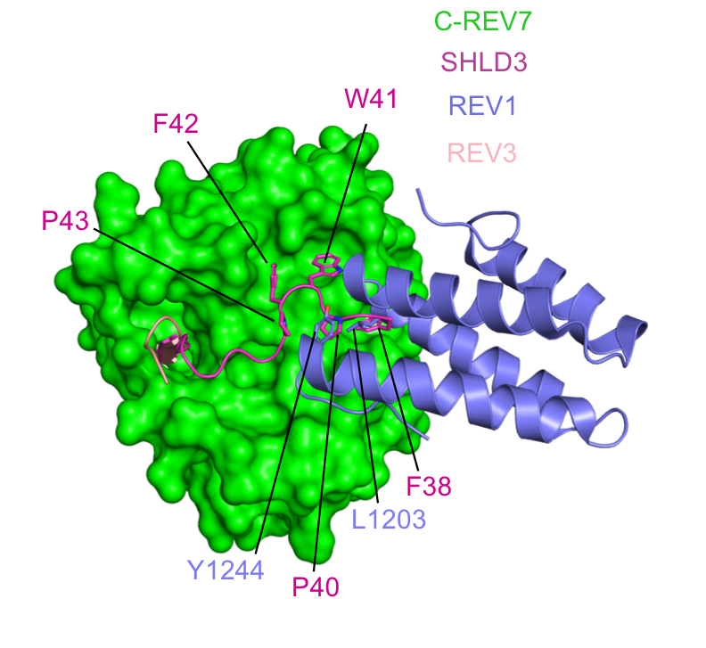 29e584bfff2b448194ed489ab0f285d0.png 29e584bfff2b448194ed489ab0f285d0.png