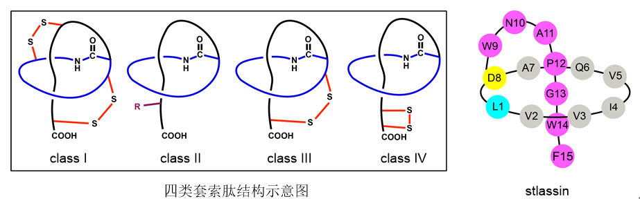 36d8be0876a34f818f69e2b5eaf08b3e.png 36d8be0876a34f818f69e2b5eaf08b3e.png